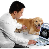 B Mode Portable Laptop Veterinary Ultrasound Scanner For Cats Dogs I KX-5600V