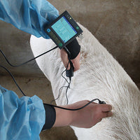 Veterinary B Mode Portable Ultrasound Scanner I MSU-3