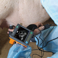 Veterinary B Mode Portable Ultrasound Scanner I MSU-3