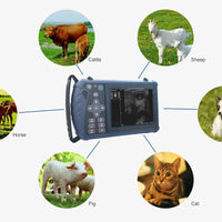 Handheld Veterinary Ultrasound Machine For Cats Dogs Cattle Sheep Horses I VET-6