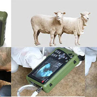 Handheld Veterinary Ultrasound Machine I Model VET-5 I Black